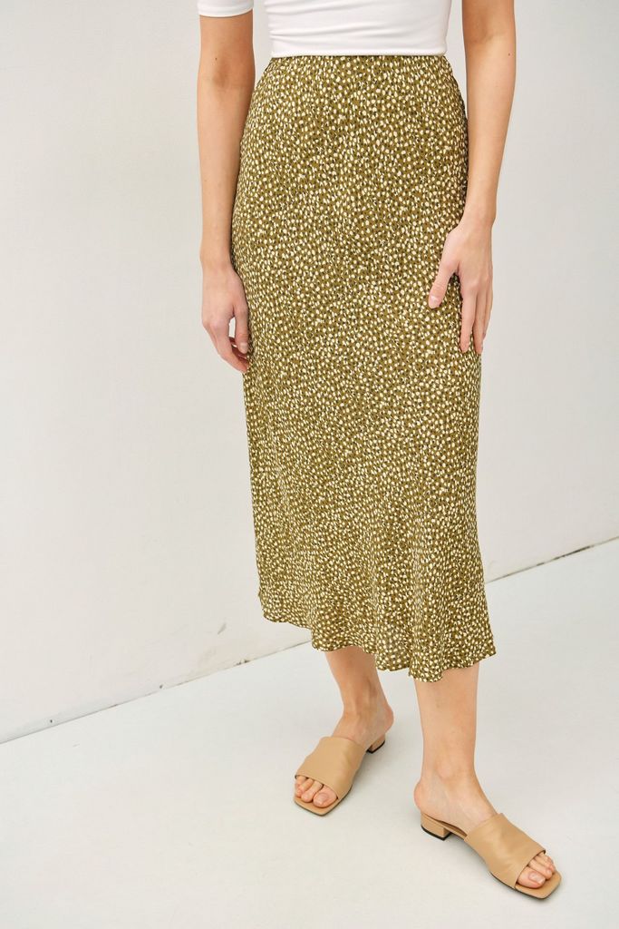 71120 / OLIVE
