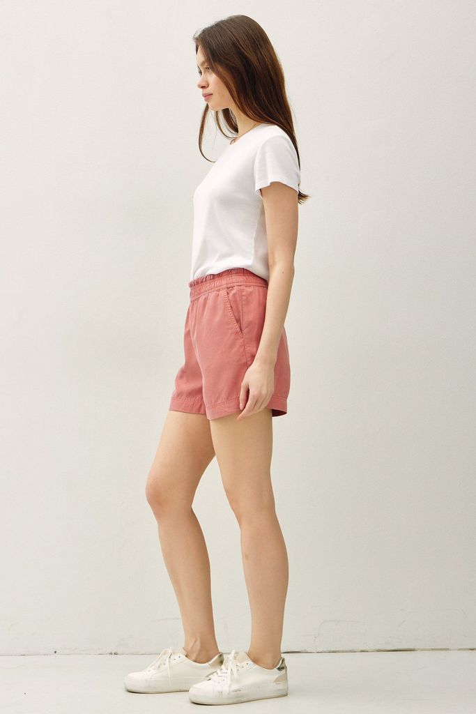 42701 / DUSTY CORAL