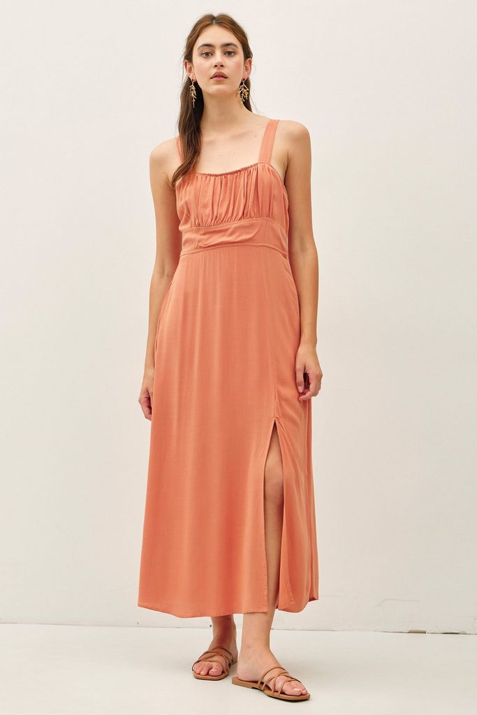 83123 / APRICOT