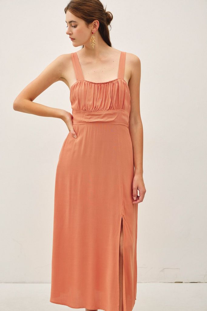 83123 / APRICOT