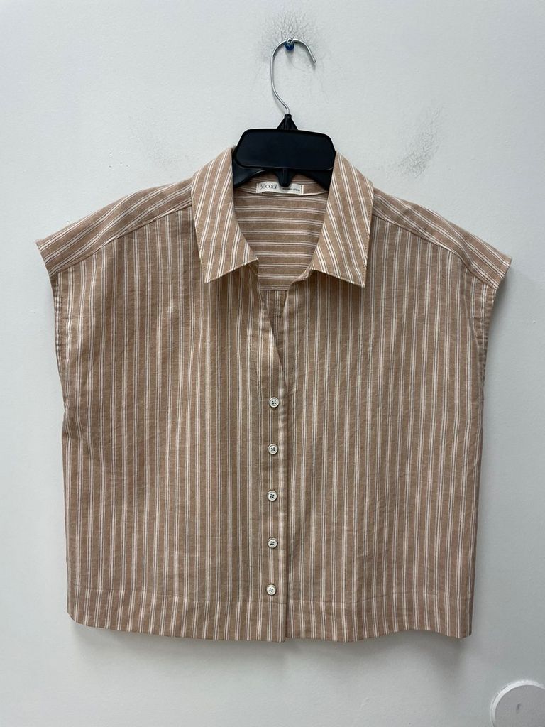 19556 / HAZELNUT