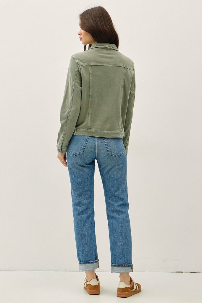31538 / OLIVE