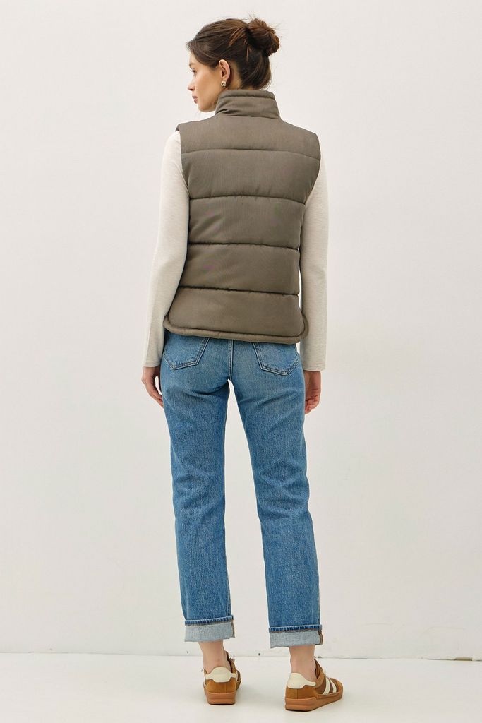 31491 / OLIVE