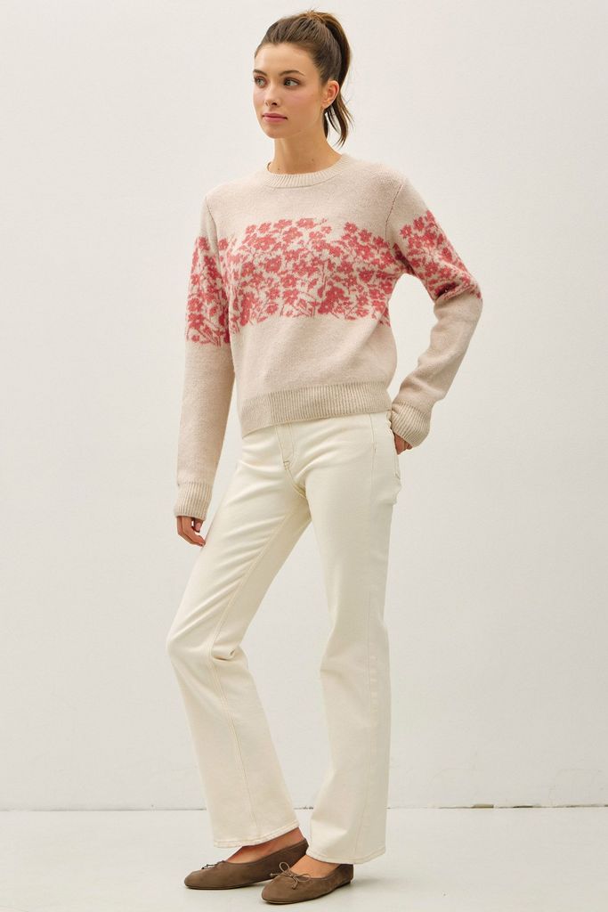 65079 / CORAL