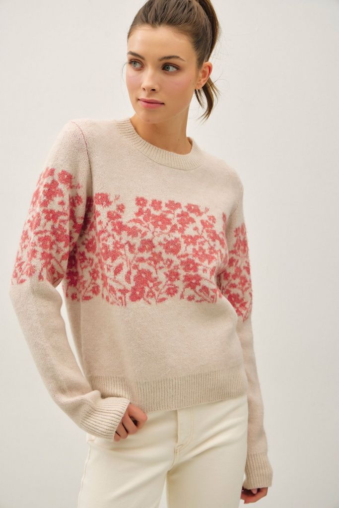 65079 / CORAL