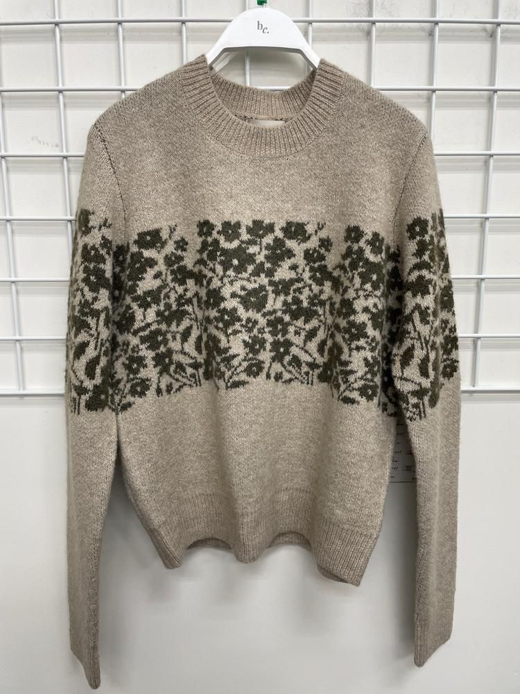 65079 / OLIVE