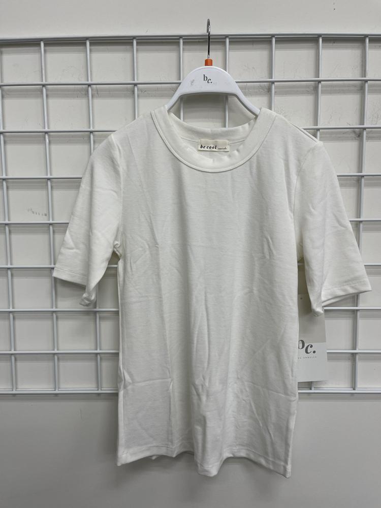 19746 / IVORY